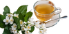 الشاي الأبيض