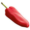 الفلفل الإفرنجي