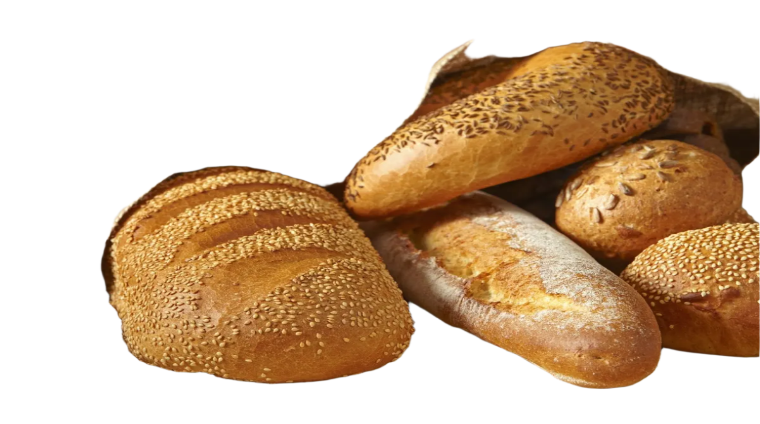  الخبز