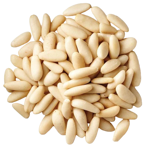  صنوبر