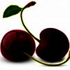 كرز أسود