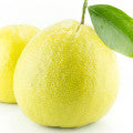 البرغموت